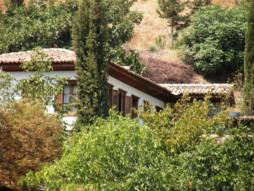 Terrace Houses Sirince Selçuk Ruang foto