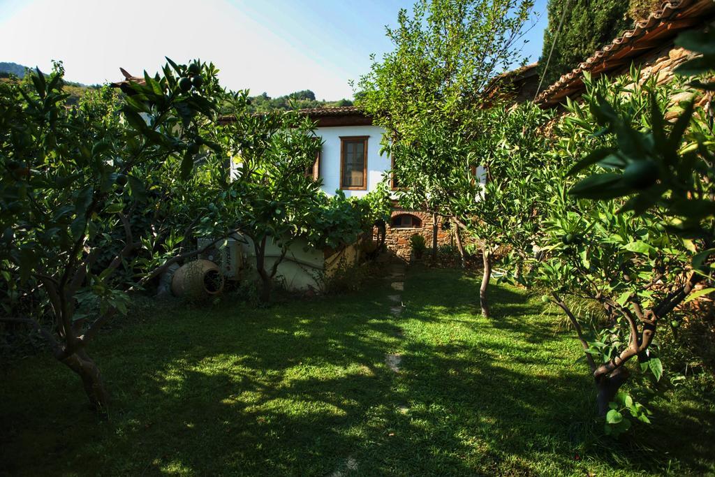 Terrace Houses Sirince Selçuk Bagian luar foto