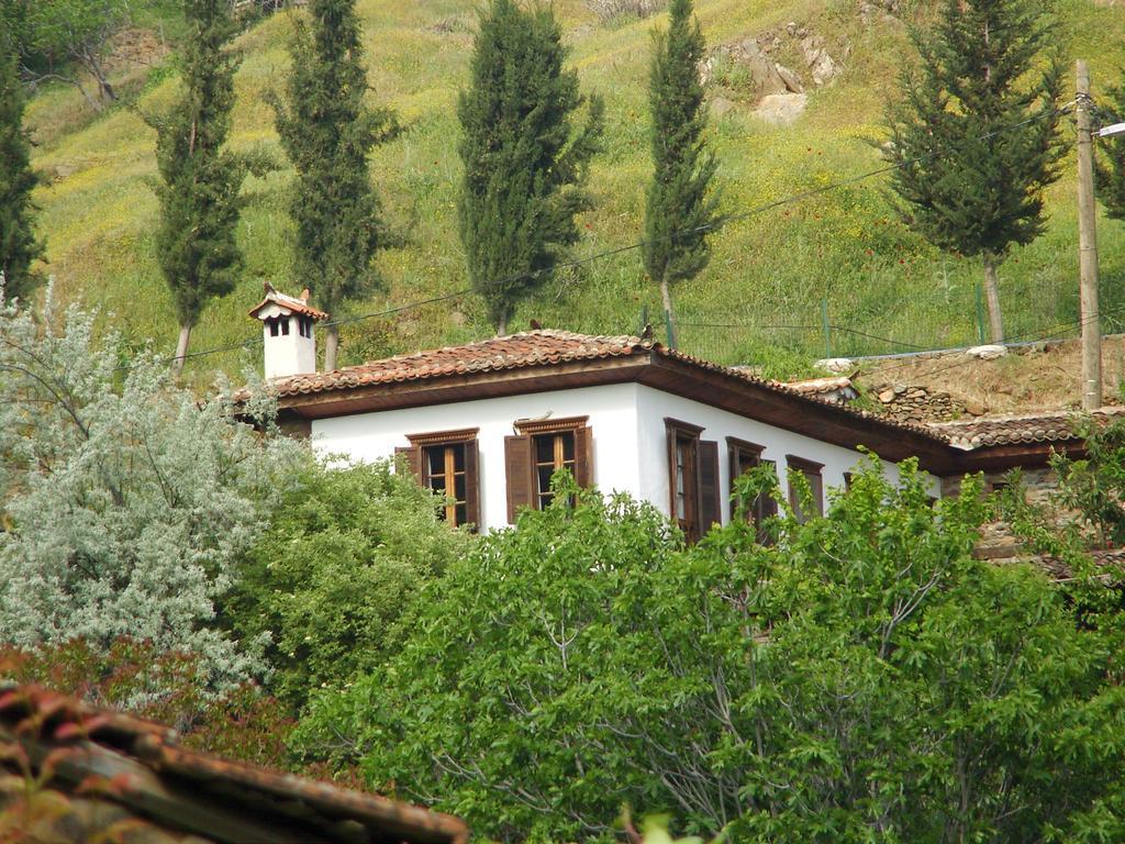 Terrace Houses Sirince Selçuk Bagian luar foto