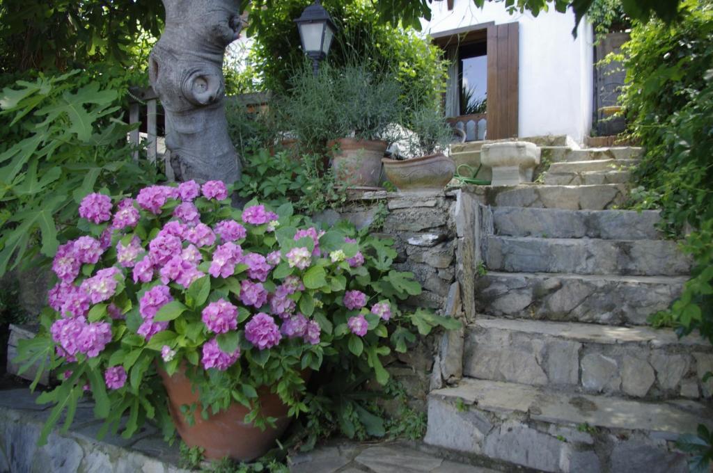 Terrace Houses Sirince Selçuk Ruang foto